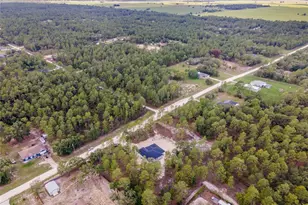 13359 SW 80th St, Dunnellon, FL 34432 - Photo 9