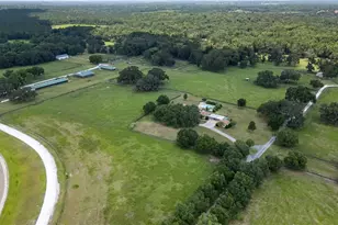 12520 NW 160th St, Reddick, FL 32686 - Photo 9