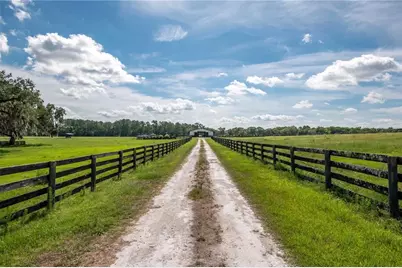12520 NW 160th Street, Reddick, FL 32686 - Photo 29