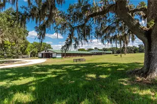 12520 NW 160th St, Reddick, FL 32686 - Photo 39