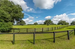 12520 NW 160th St, Reddick, FL 32686 - Photo 13
