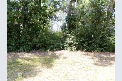 796 W Lightwood St, Citrus Springs, FL 34434 - Photo 3