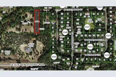 796 W Lightwood St, Citrus Springs, FL 34434 - Photo 1