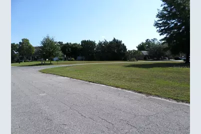 000 Blue Heron Ct #000, Dunnellon, FL 34432 - Photo 5