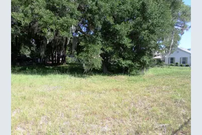 000 Blue Heron Ct #000, Dunnellon, FL 34432 - Photo 1