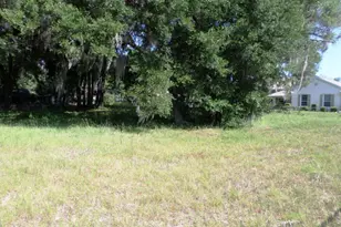 000 Blue Heron Ct, Dunnellon, FL 34432 - Photo 1