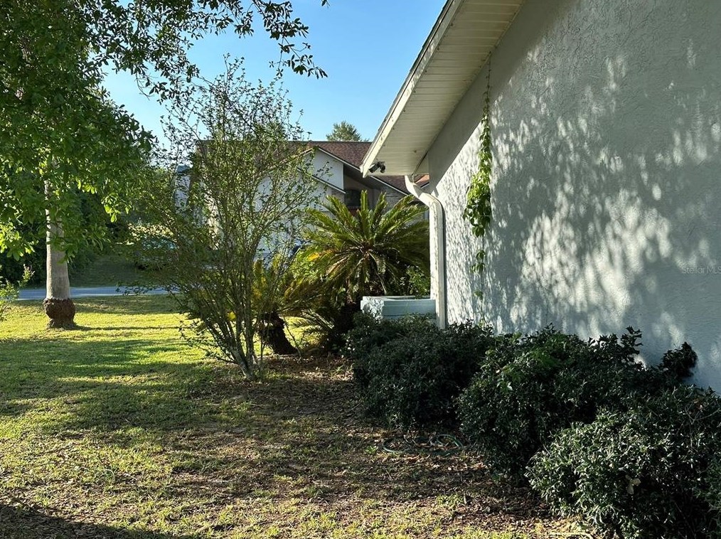 3817 161 Loop, Ocala FL  34473-6503 exterior