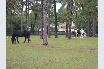 6349 W Pine Ridge Boulevard, Beverly Hills, FL 34465 - Photo 17