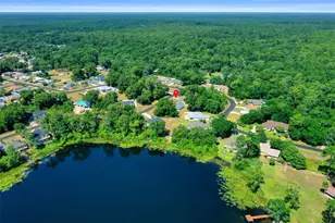 13027 NE 7th Loop, Silver Springs, FL 34488 - Photo 49