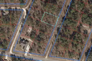 Lot 5 NE 156 Ave, Williston, FL 32696 - Photo 1