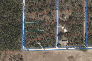 Lot 8 NE 120 Ave, Williston, FL 32696 - Photo 1