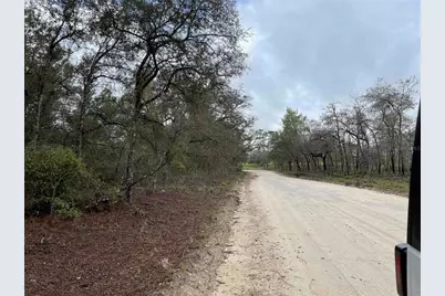 Lot 8 NE 120 Avenue, Williston, FL 32696 - Photo 3