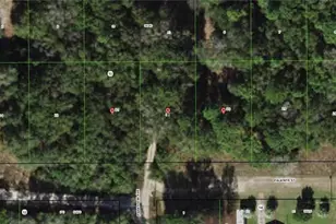 2104 2016 2014 Falkner St, Inverness, FL 34453 - Photo 1