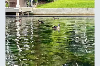 Lot 57 SW 203 Avenue, Dunnellon, FL 34431 - Photo 17