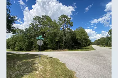 Lot 57 SW 203 Avenue, Dunnellon, FL 34431 - Photo 1