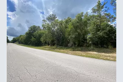 Lot 57 SW 203 Avenue, Dunnellon, FL 34431 - Photo 3