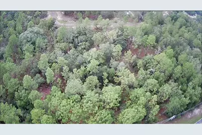 10522 N Elkcam Boulevard, Citrus Springs, FL 34433 - Photo 3