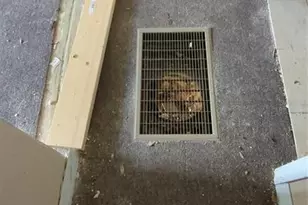 16237 SE 58th Pl, Ocklawaha, FL 32179 - Photo 33