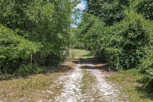 5401 SE 162nd St, Summerfield, FL 34491 - Photo 53