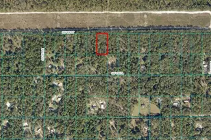SW 150th St, Dunnellon, FL 34432 - Photo 1