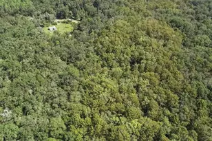 104 NE 304th Ave, Old Town, FL 32680 - Photo 23