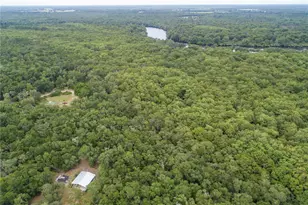 104 NE 304th Ave, Old Town, FL 32680 - Photo 51