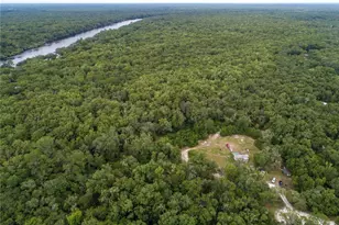 104 NE 304th Ave, Old Town, FL 32680 - Photo 53