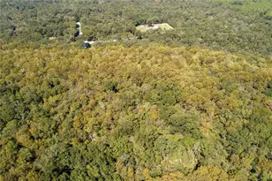 104 NE 304th Ave, Old Town, FL 32680 - Photo 19