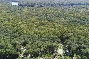 104 NE 304th Ave, Old Town, FL 32680 - Photo 25