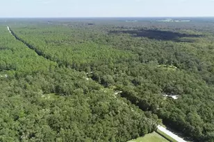 104 NE 304th Ave, Old Town, FL 32680 - Photo 27