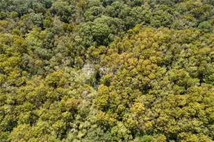 104 NE 304th Ave, Old Town, FL 32680 - Photo 33