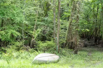 104 NE 304th Avenue, Old Town, FL 32680 - Photo 57