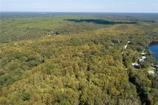 104 NE 304th Ave, Old Town, FL 32680 - Photo 21