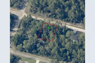 8884 N Vienna Drive, Dunnellon, FL 34433 - Photo 1