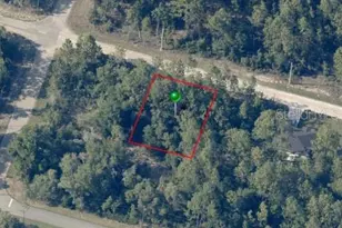 8884 N Vienna Dr, Dunnellon, FL 34433 - Photo 1