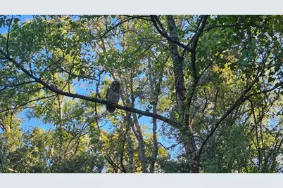 1105 Constitution Way, Inverness, FL 34453 - Photo 1