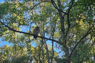 1105 Constitution Way, Inverness, FL 34453 - Photo 1