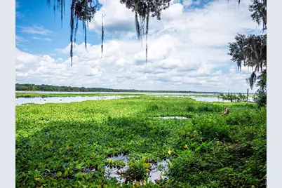 24750 NE 177th Terrace, Fort Mc Coy, FL 32134 - Photo 49