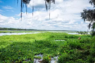 24750 NE 177th Ter, Fort Mc Coy, FL 32134 - Photo 49