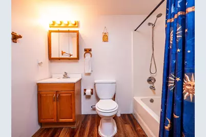 24750 NE 177th Terrace, Fort Mc Coy, FL 32134 - Photo 33