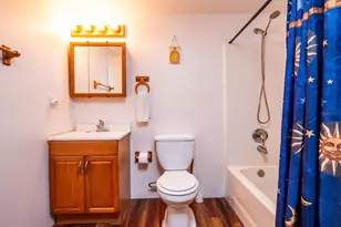 24750 NE 177th Ter, Fort Mc Coy, FL 32134 - Photo 33