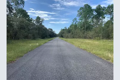 Se 139th Ter Lot 19, Morriston, FL 32668 - Photo 3