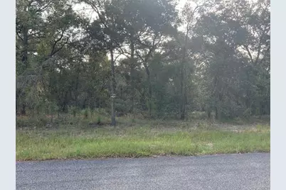 Se 139th Ter Lot 19, Morriston, FL 32668 - Photo 1