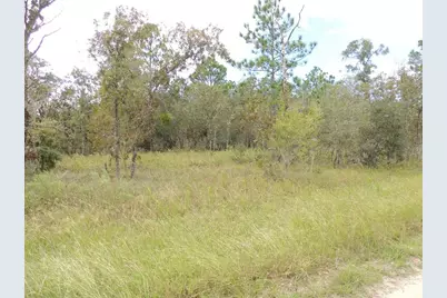 690 NE 135th Court, Williston, FL 32696 - Photo 3