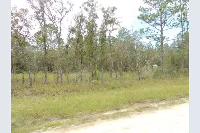 690 NE 135th Court, Williston, FL 32696 - Photo 1