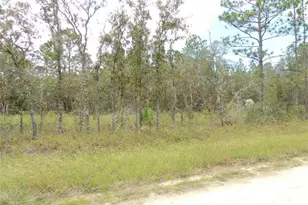 690 NE 135th Ct, Williston, FL 32696 - Photo 1