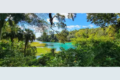 12190 Maple Street, Dunnellon, FL 34432 - Photo 93