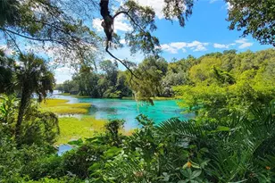 12190 Maple St, Dunnellon, FL 34432 - Photo 93