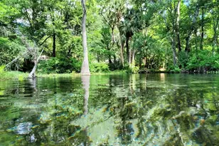 12190 Maple St, Dunnellon, FL 34432 - Photo 89