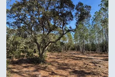 11901 NE 150th Ave Road, Fort Mc Coy, FL 32134 - Photo 7